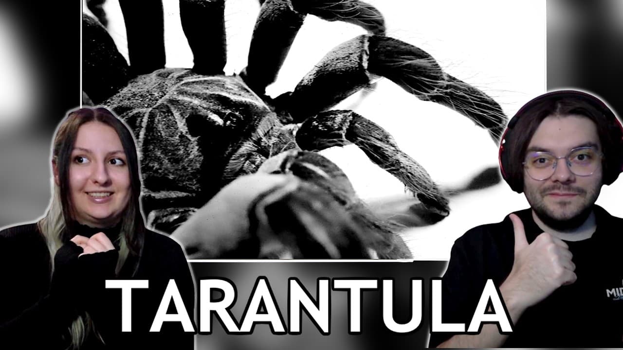 React to Inpatient ( Ren x Chris Webby ) - Tarantula | Crazy Spider-Man References!