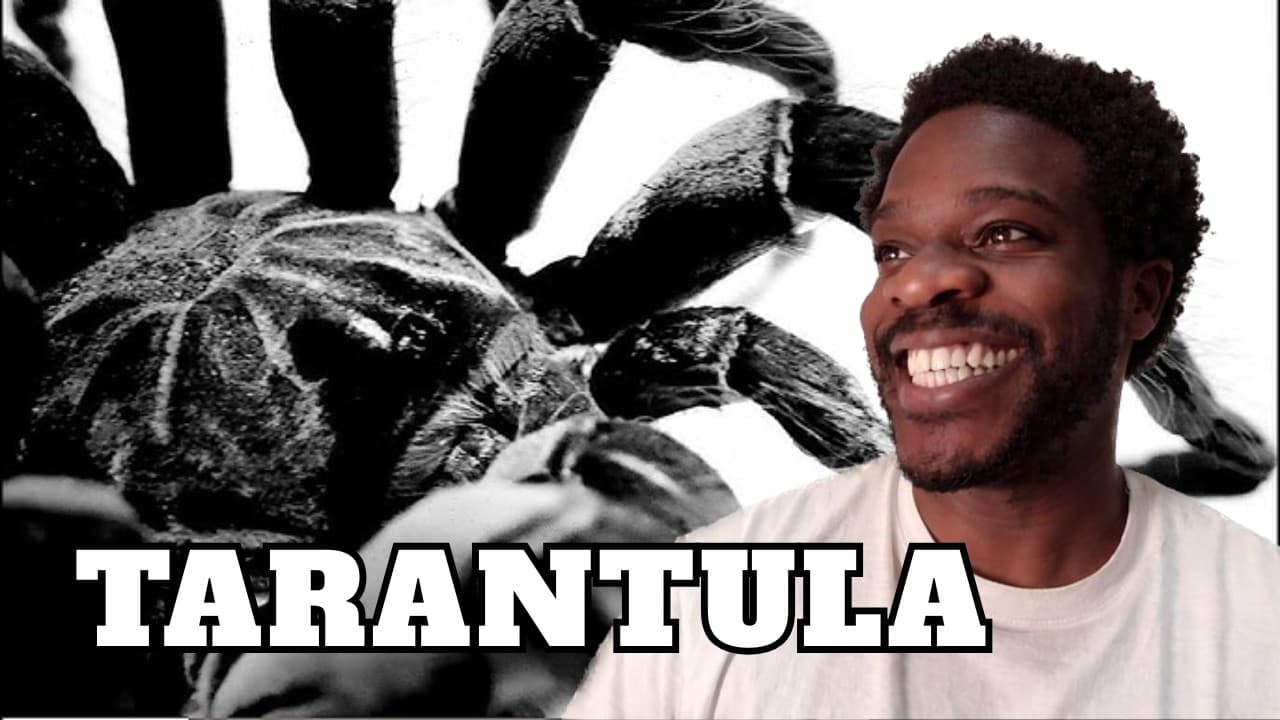 Inpatient ( Ren x Chris Webby ) - Tarantula | FIRST TIME REACTION!