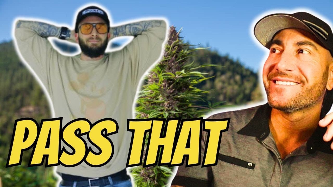 Chris Webby - Day By Day (Official Video) | First* REACTION!