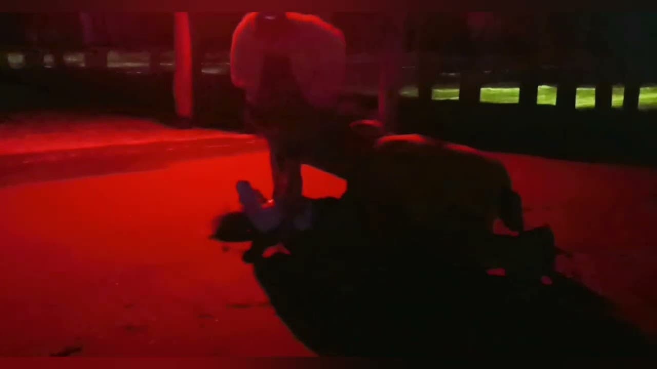 So the Story Goes Ren Reaction 