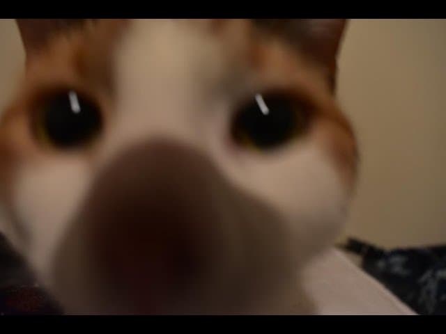 FIRST REACTION TO REN | SICK BOI