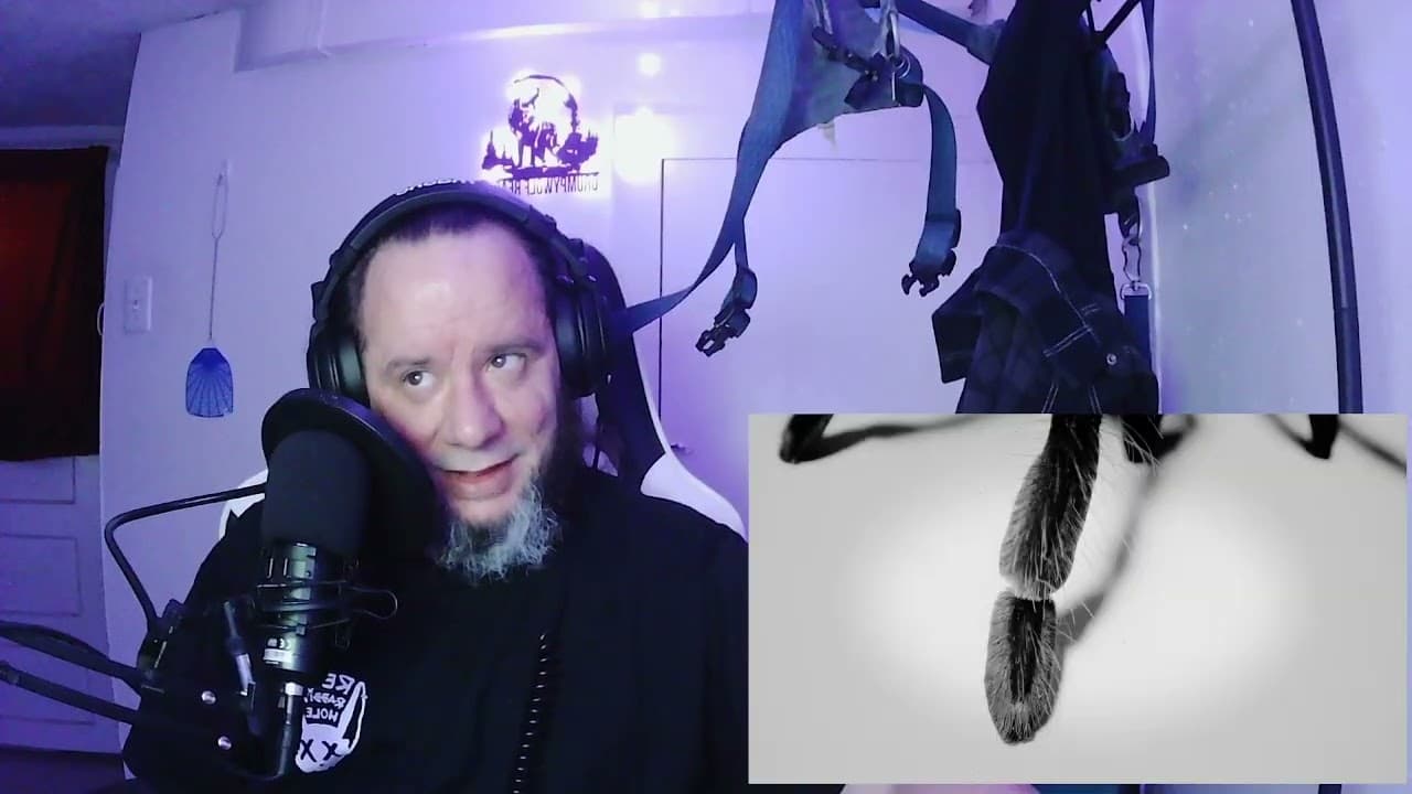 REACTION     Seriouly why spiders      Inpatient ( Ren x Chris Webby ) - Tarantula