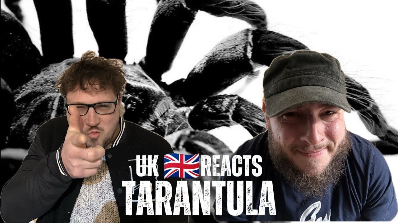BRILLIANT ART! 'TARANTULA' - REN X CHRIS WEBBY (UK Independent Artists React)