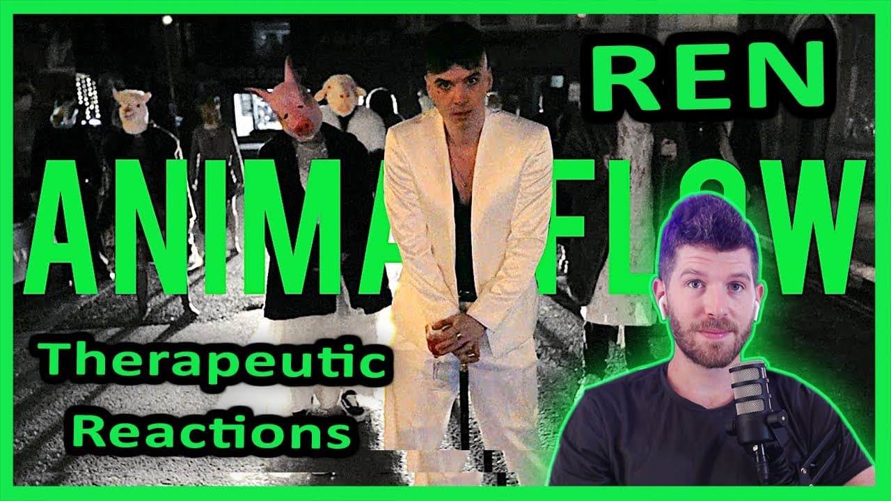 Animal Flow Ren REACTION