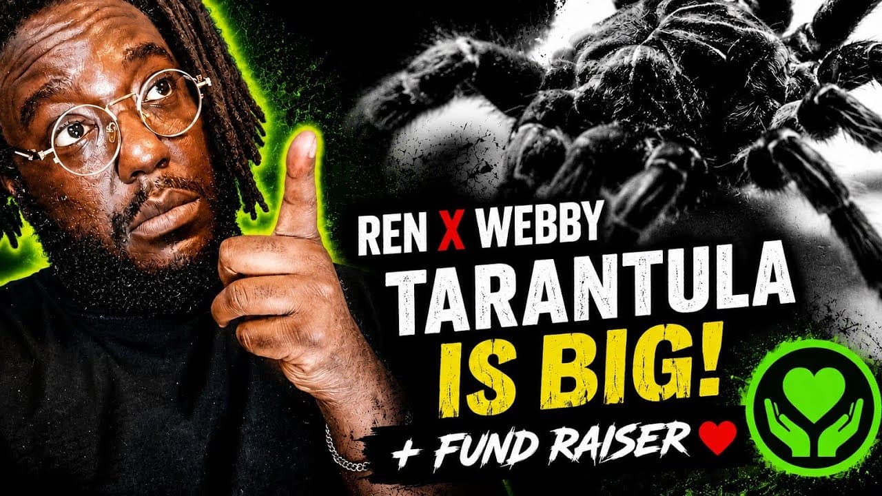 REN X WEBBY | INPATIENT | TARANTULA | REACTION