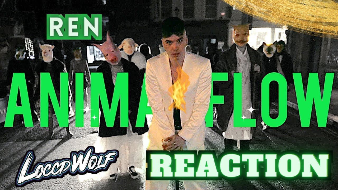ANIMAL INSTINCTS! REN - Animal Flow | LOCCDWOLF REACTION!!!!