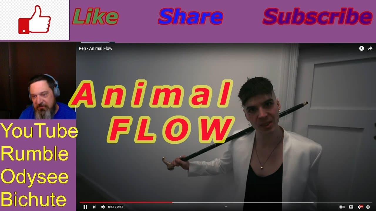 Ren Animal Flow Reaction