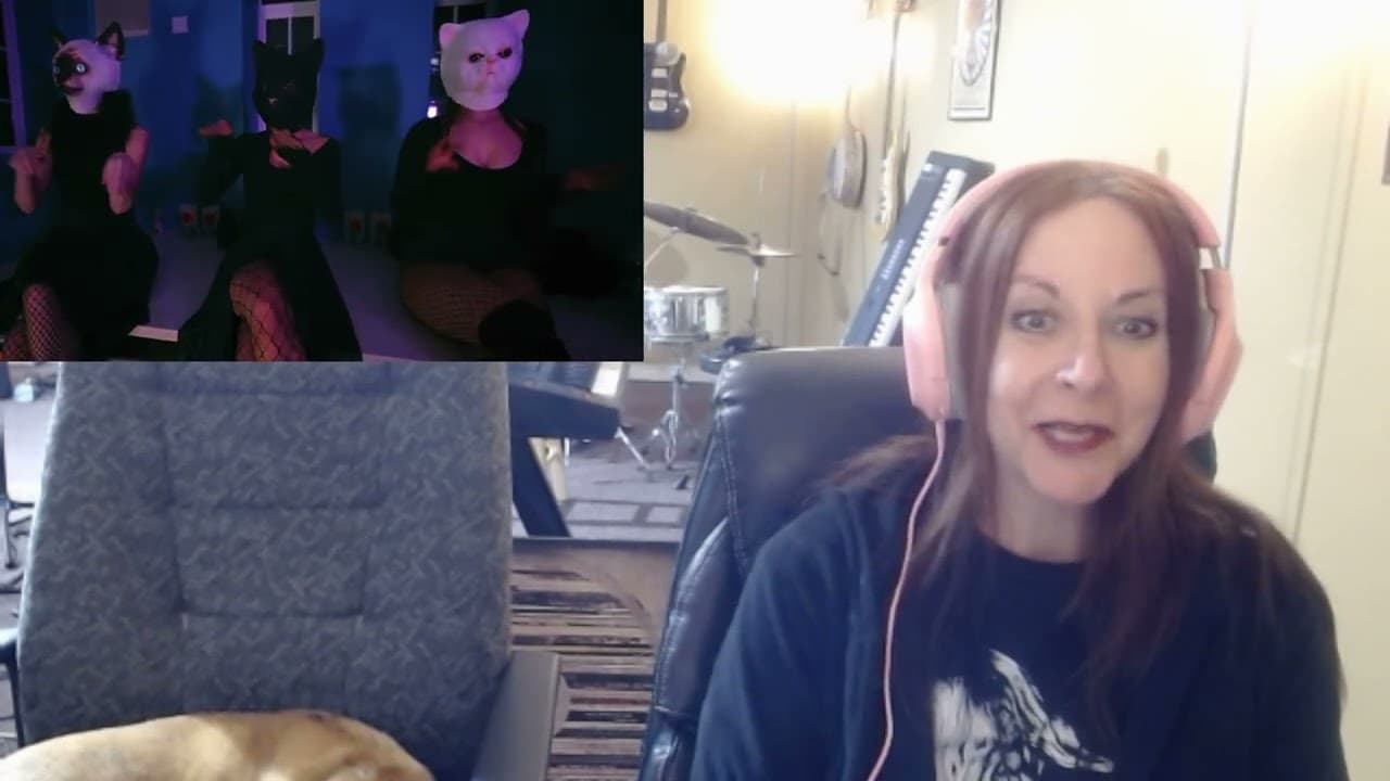 Ren -  Animal Flow - Our Reaction Suesueandthewolfman