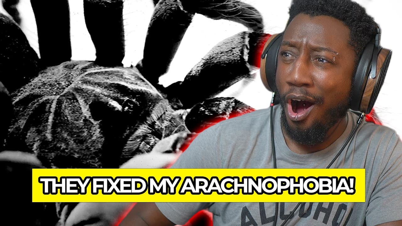THIS IS THE BEST SONG ON THE EP SO FAR! | Inpatient (Ren x Chris Webby) - Tarantula Reaction