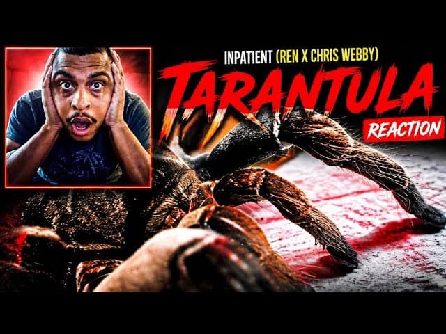 Inpatient (Ren X Chris Webby) - Tarantula (REACTION) 