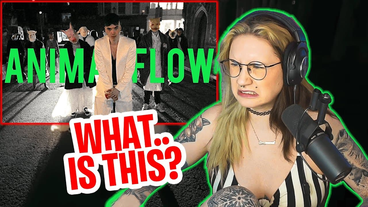 THINGS YOU MISSED // Streamer reacts: Ren - Animal Flow