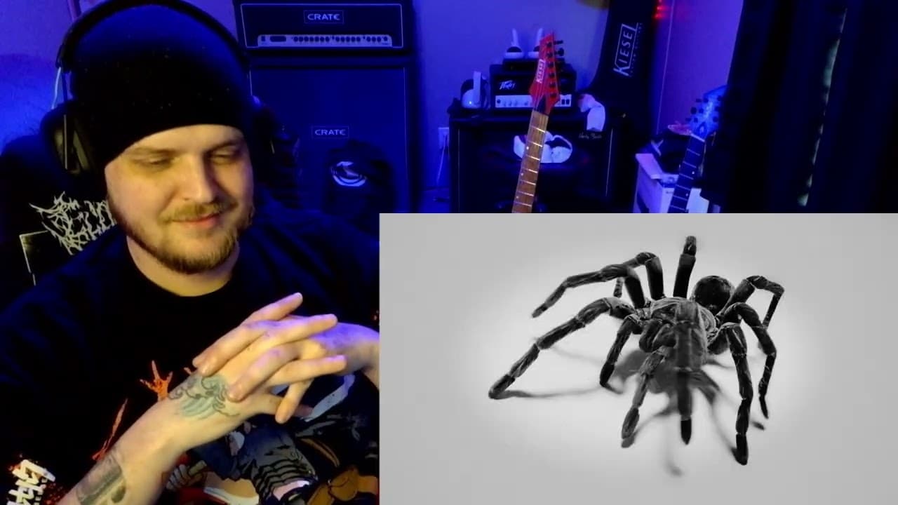 METALHEAD ENVIES| REN X CHRIS WEBBY| "TARANTULA"