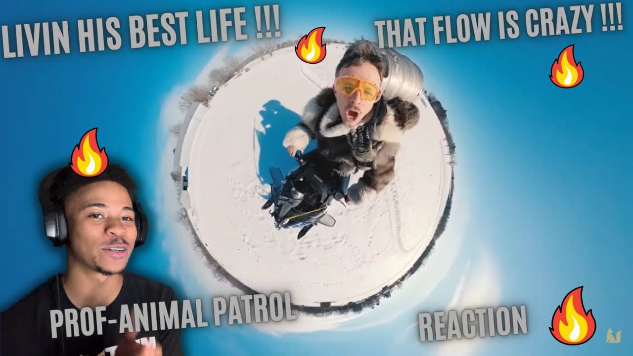 PROF-ANIMAL PATROL (REACTION) 🔥
