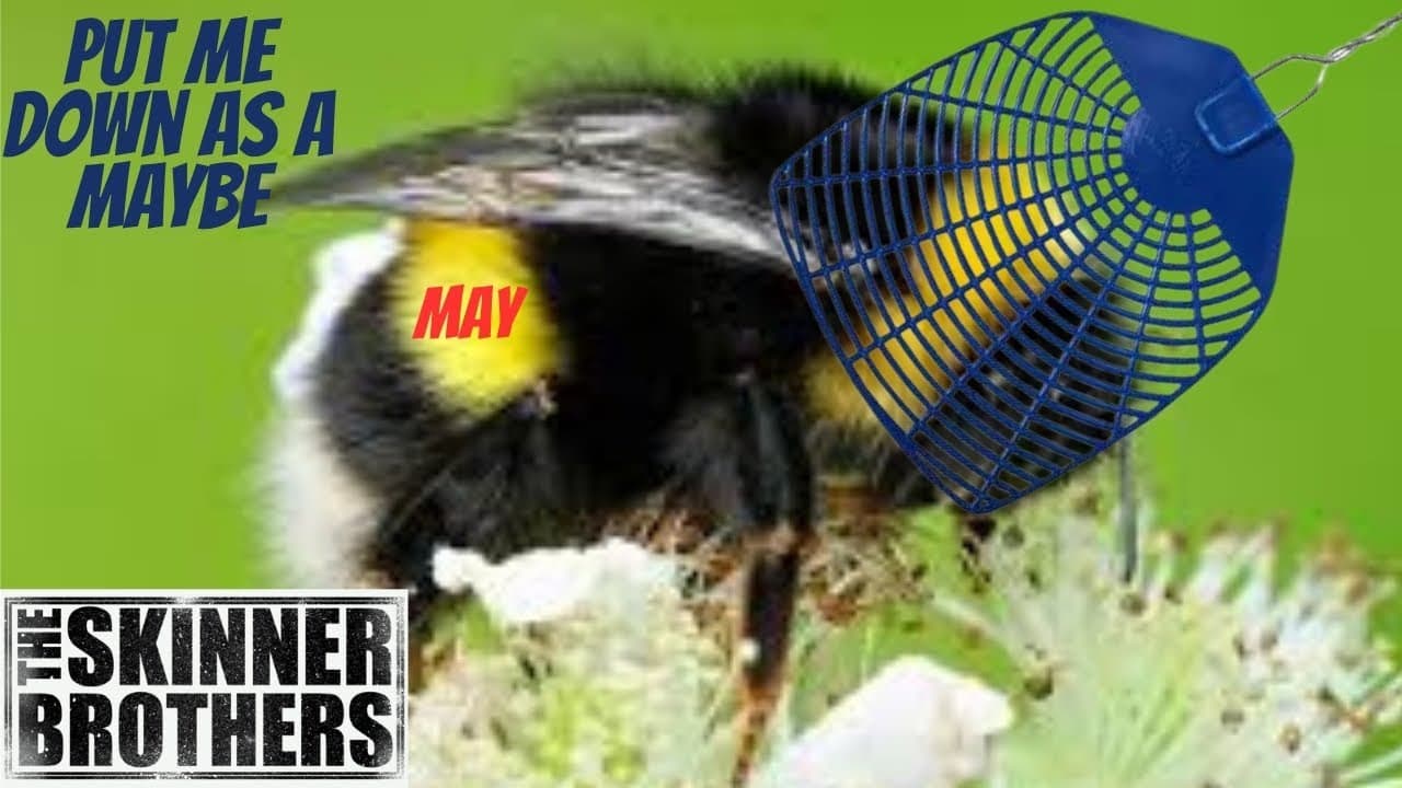 The Skinner Brothers - Put Me Down As A Maybe [FIRST TIME REACTION]