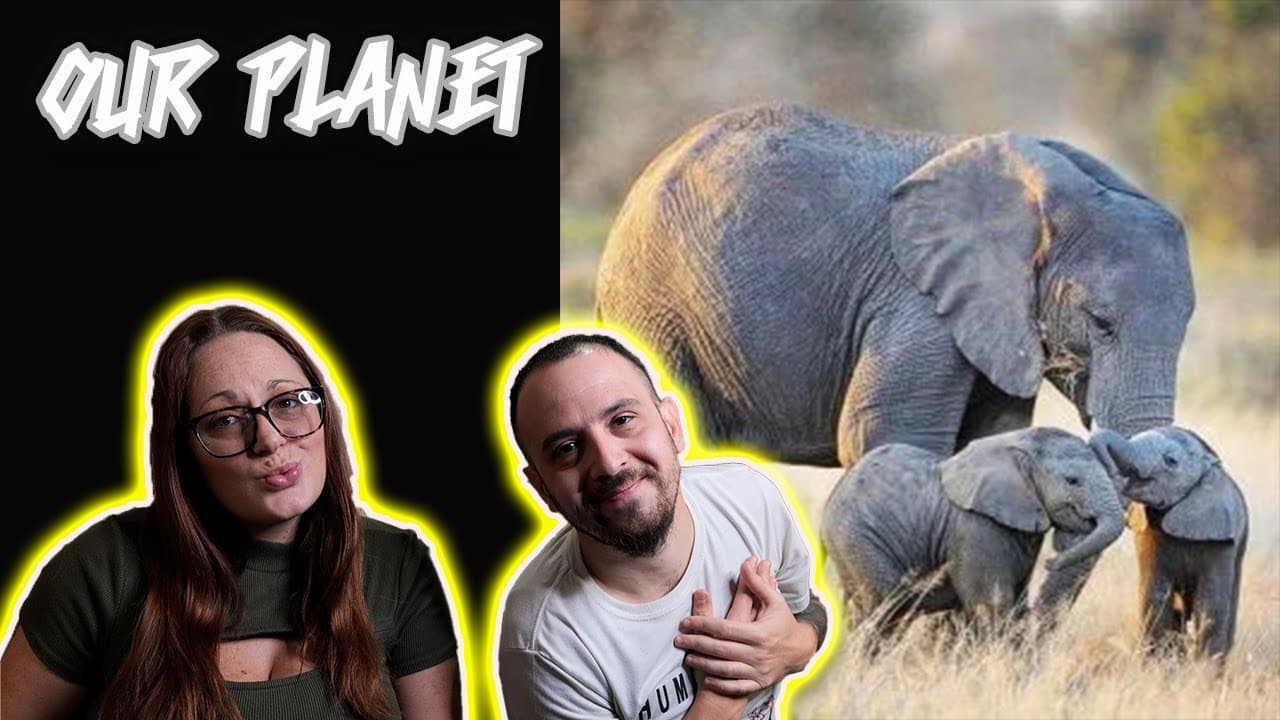 Our Planet (feat. Bria Lee) | (Chris Webby) - Reaction!