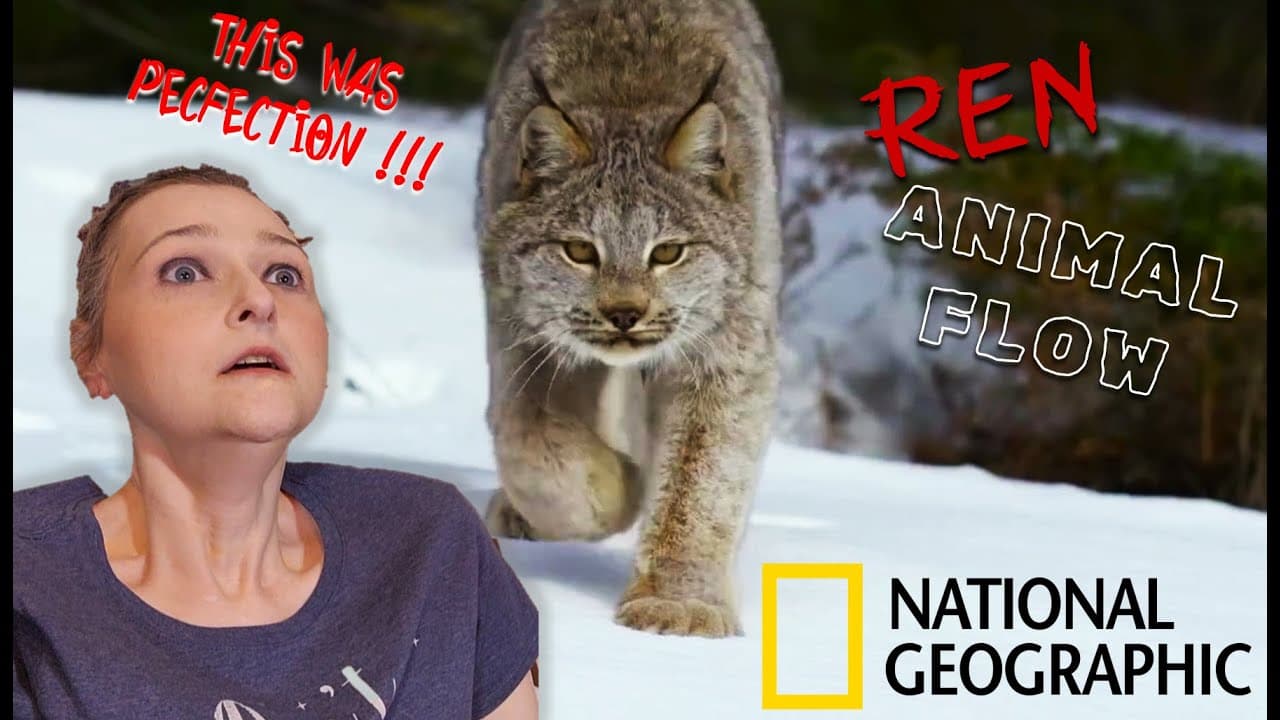 Ren x Nat Geo: “Animal Flow” Promo REACTION | Wild Meets Wicked Genius! 🐅🔥🌍