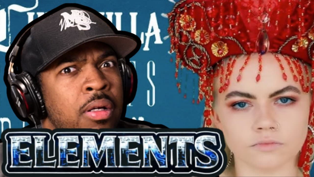CALL TO ARMS!? | Chinchilla-Elements | MrBiscuitSpeaks
