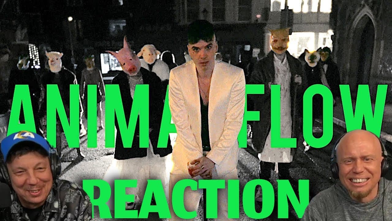 REN - ANIMAL FLOW | REACTION